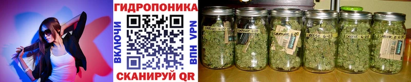 Магазин наркотиков Югорск А ПВП  Конопля  Амфетамин  Псилоцибиновые грибы  Мефедрон  Гашиш 