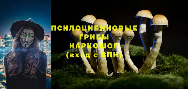 дурь Алзамай