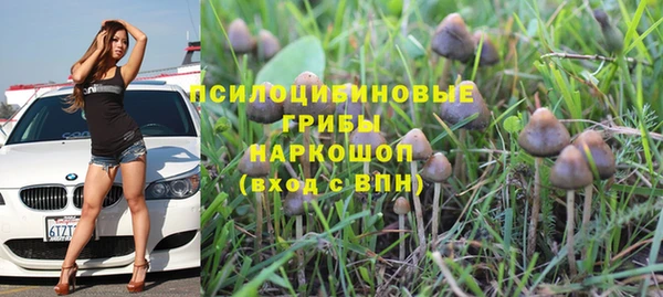 МДПВ Алексин