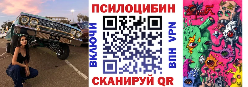 Галлюциногенные грибы Cubensis Югорск