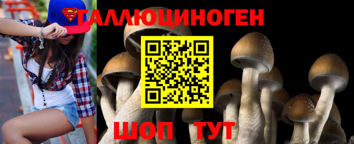 Югорск  Галлюциногенные грибы GOLDEN TEACHER  Вход с VPN  Галлюциногенные грибы Psilocybine cubensis 