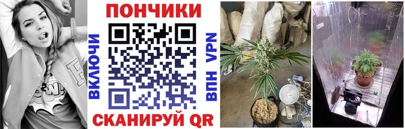 Бошки марихуана индика даркнет сайт Югорск